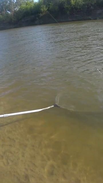 Ловим Амура на Хопре