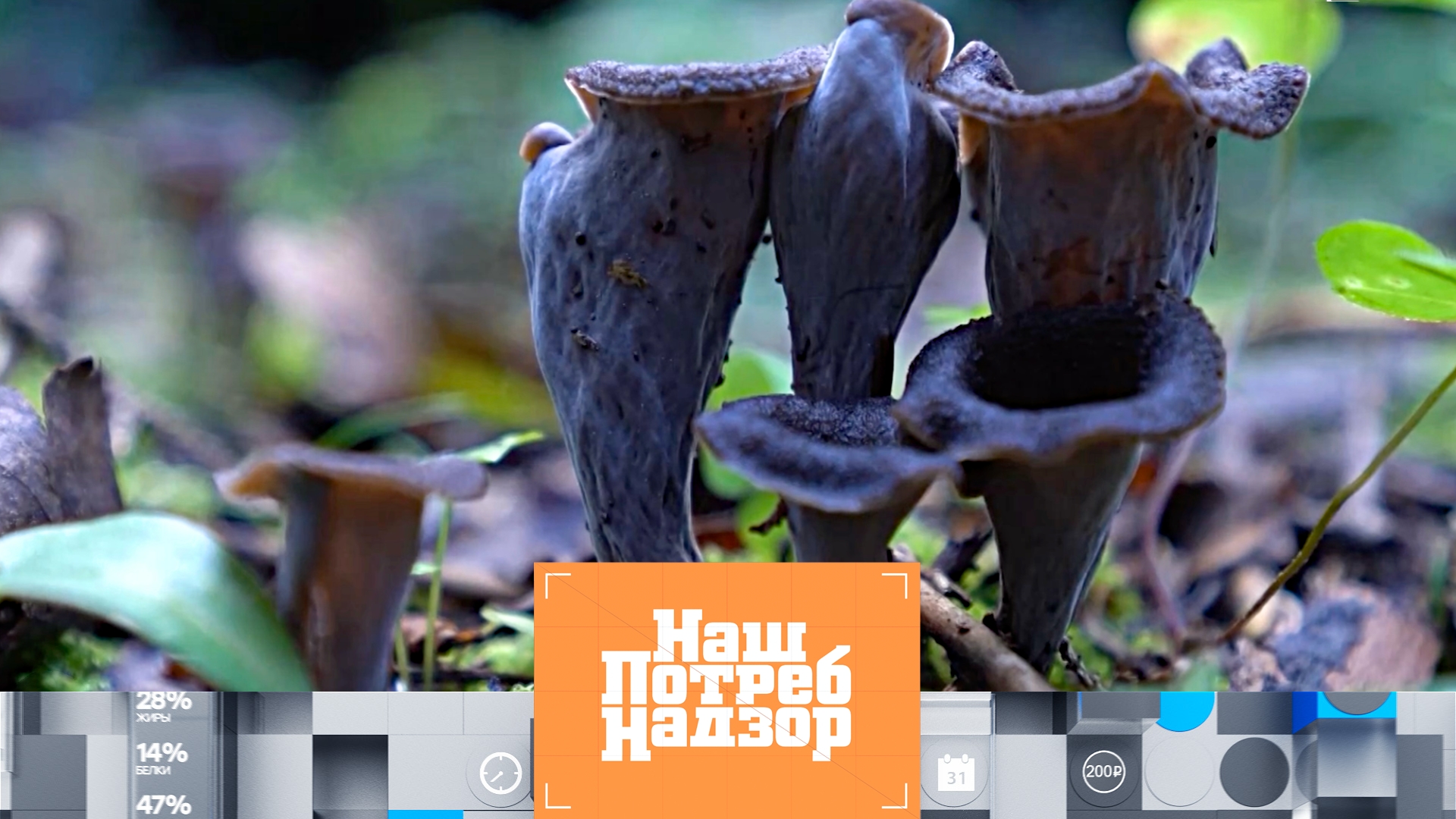 Чёрные лисички, что кладут в купаты и проверка бандажей для лица | «НашПотребНадзор» (07.09.2025)