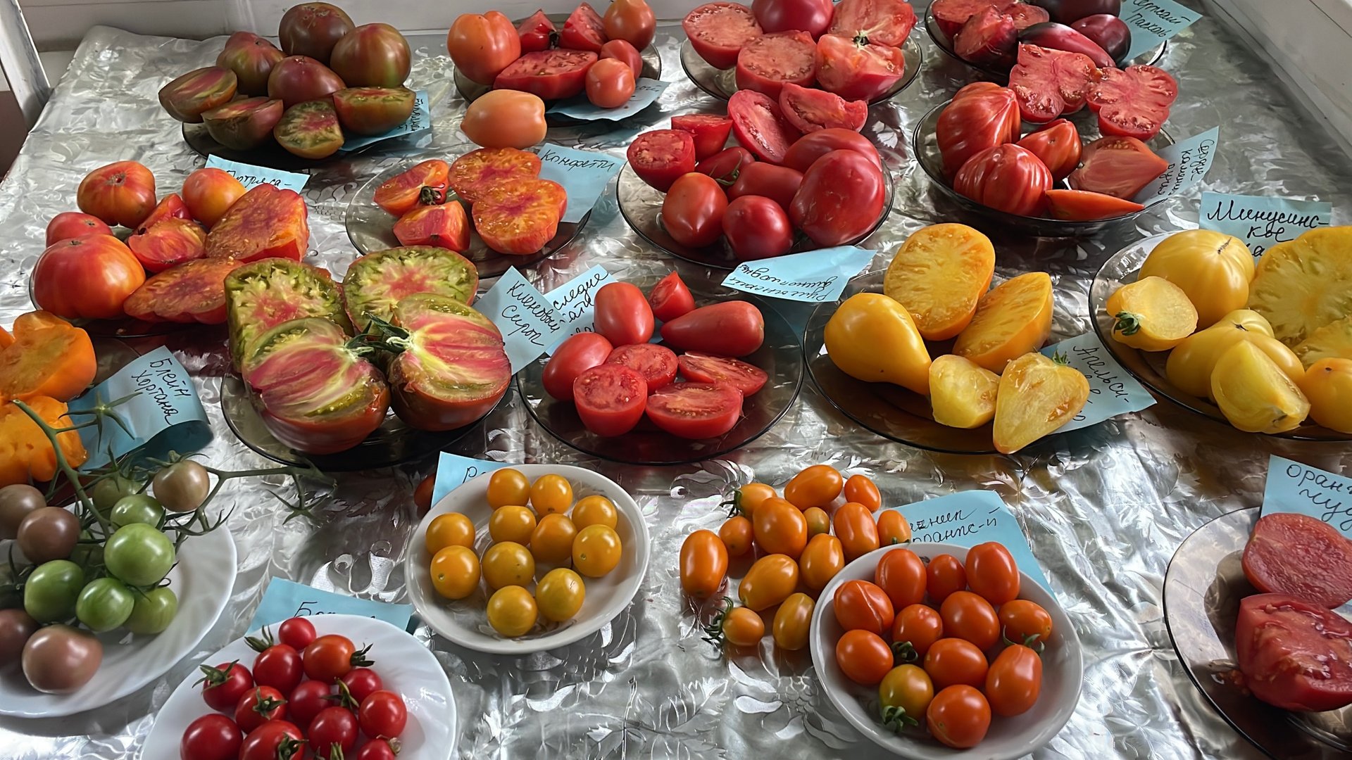 Большая дегустация сортов томатов. Часть 3.