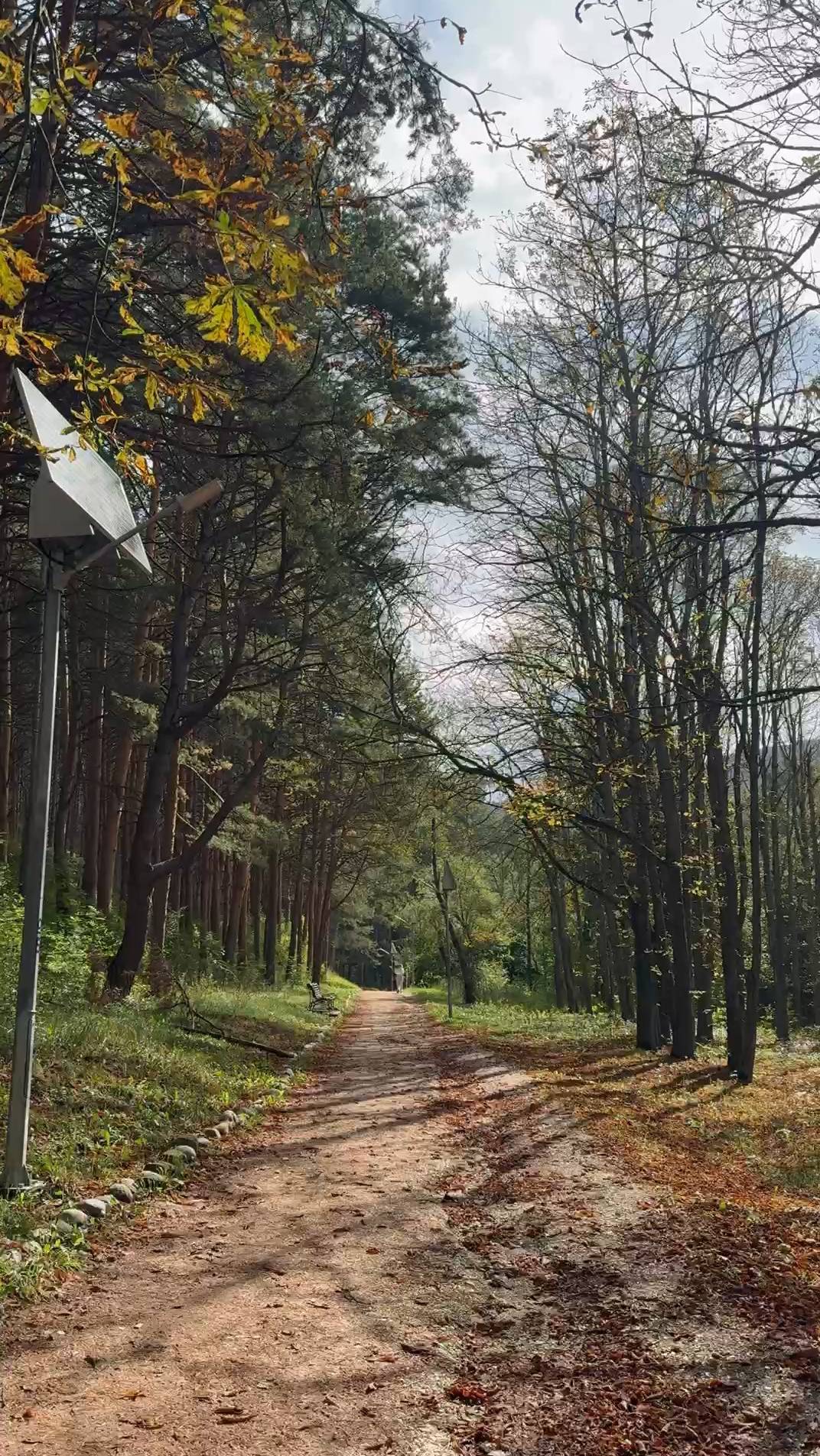 В Кисловодском парке потихоньку наступает волшебная осень 2025 года