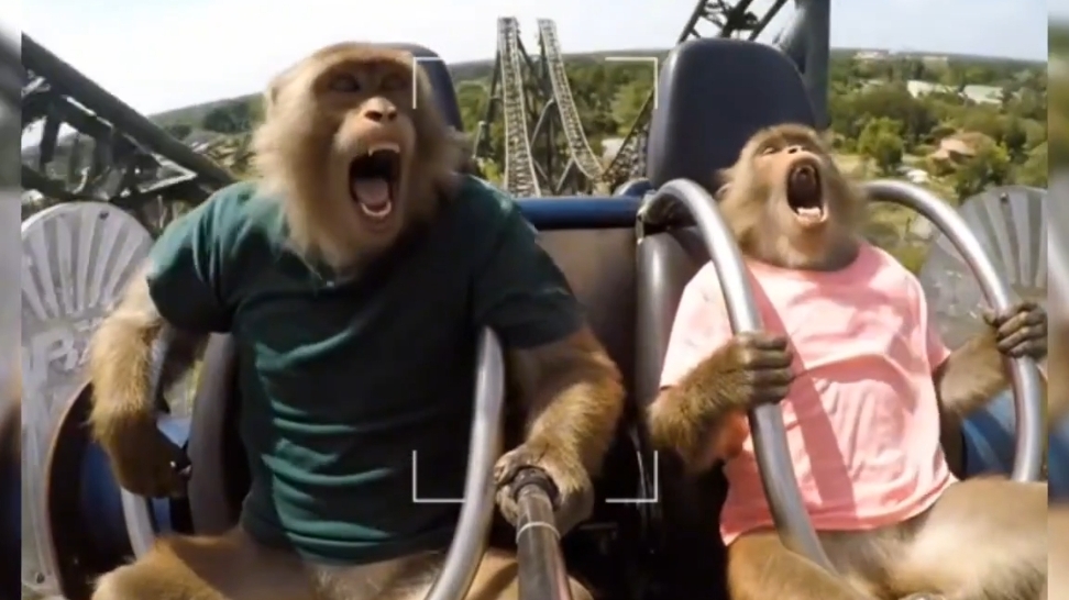 Гоша Бомжезьян, развлекается на отдыхе.