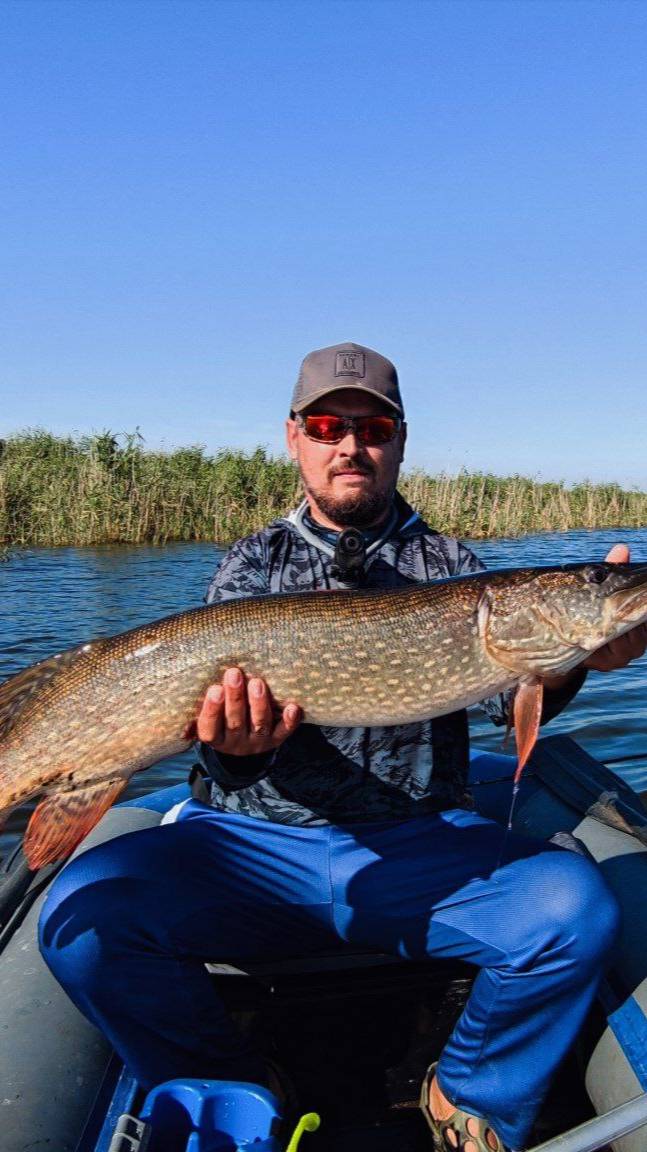 ТРОФЕЙНАЯ ЩУКА НА ДЖИГ С БРОВКИ