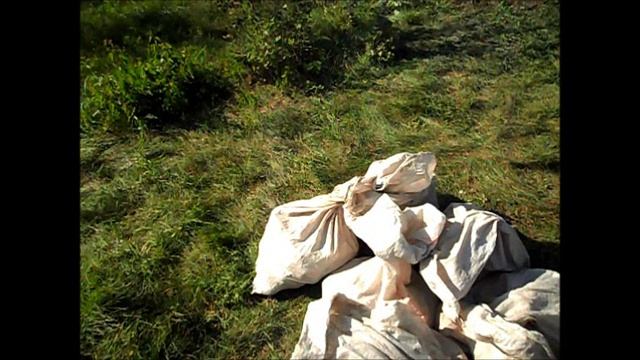 О хранении картофеля