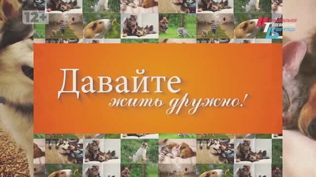 Спасение 7-летней львицы, новые правила в регионе, джигитовка как смысл жизни