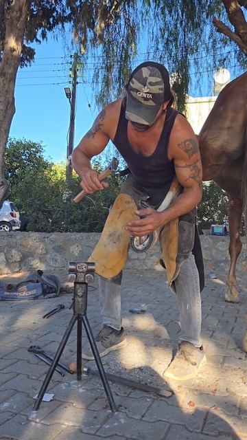 Кузнец подковывает лошадь