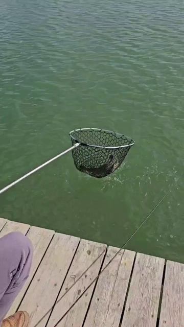 Состоялся Кубок AKARA Trout Time Осень 2025