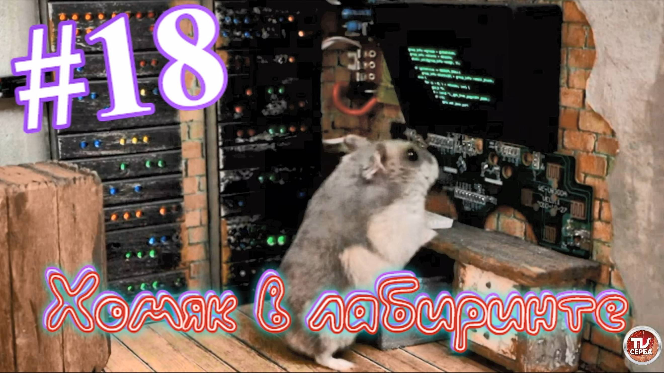 Хомяк в лабиринте (18 серия)