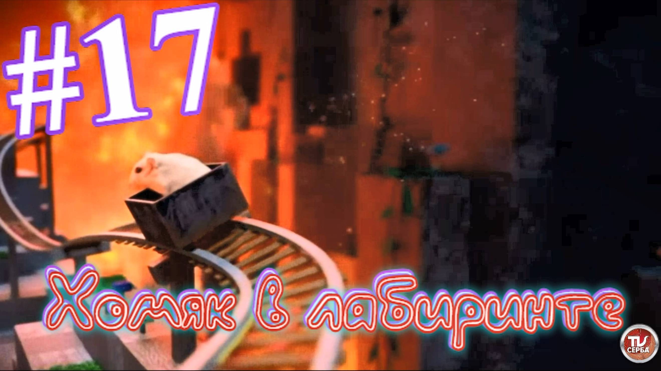 Хомяк в лабиринте (17 серия)