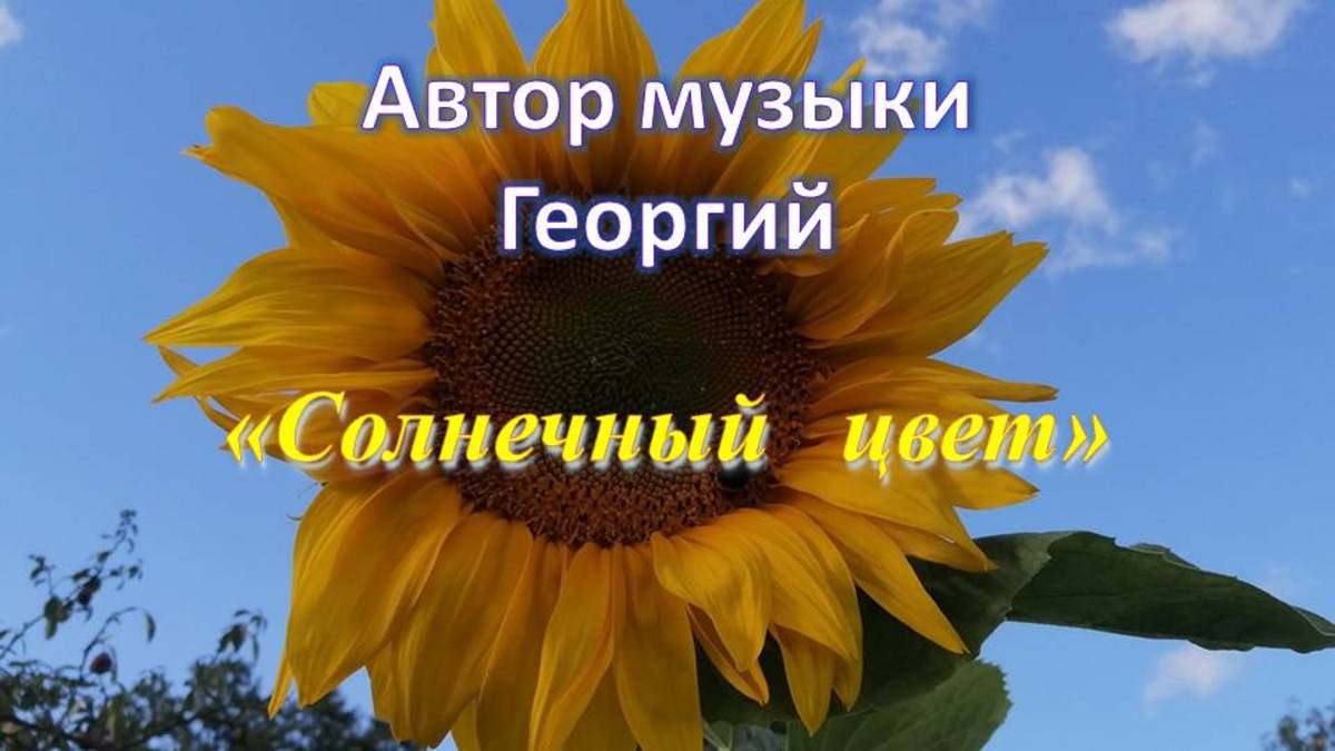 Солнечный цвет Автор музыки Георгий