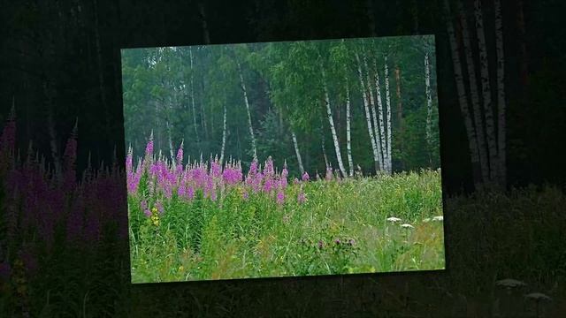 Opil - Something Fear