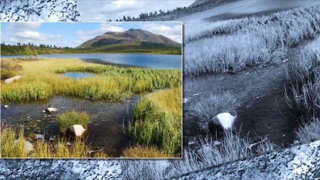 Opil - Midnight Beat (Short edit)