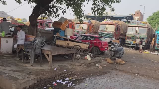 Индия. Прогулка по рыбному рынку в Нью-Дели в формате 4К