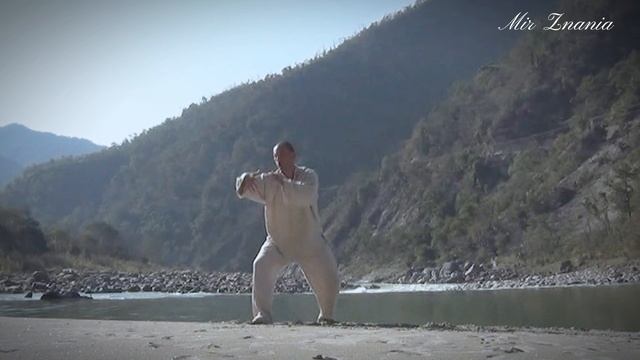 Авторское тайцзи