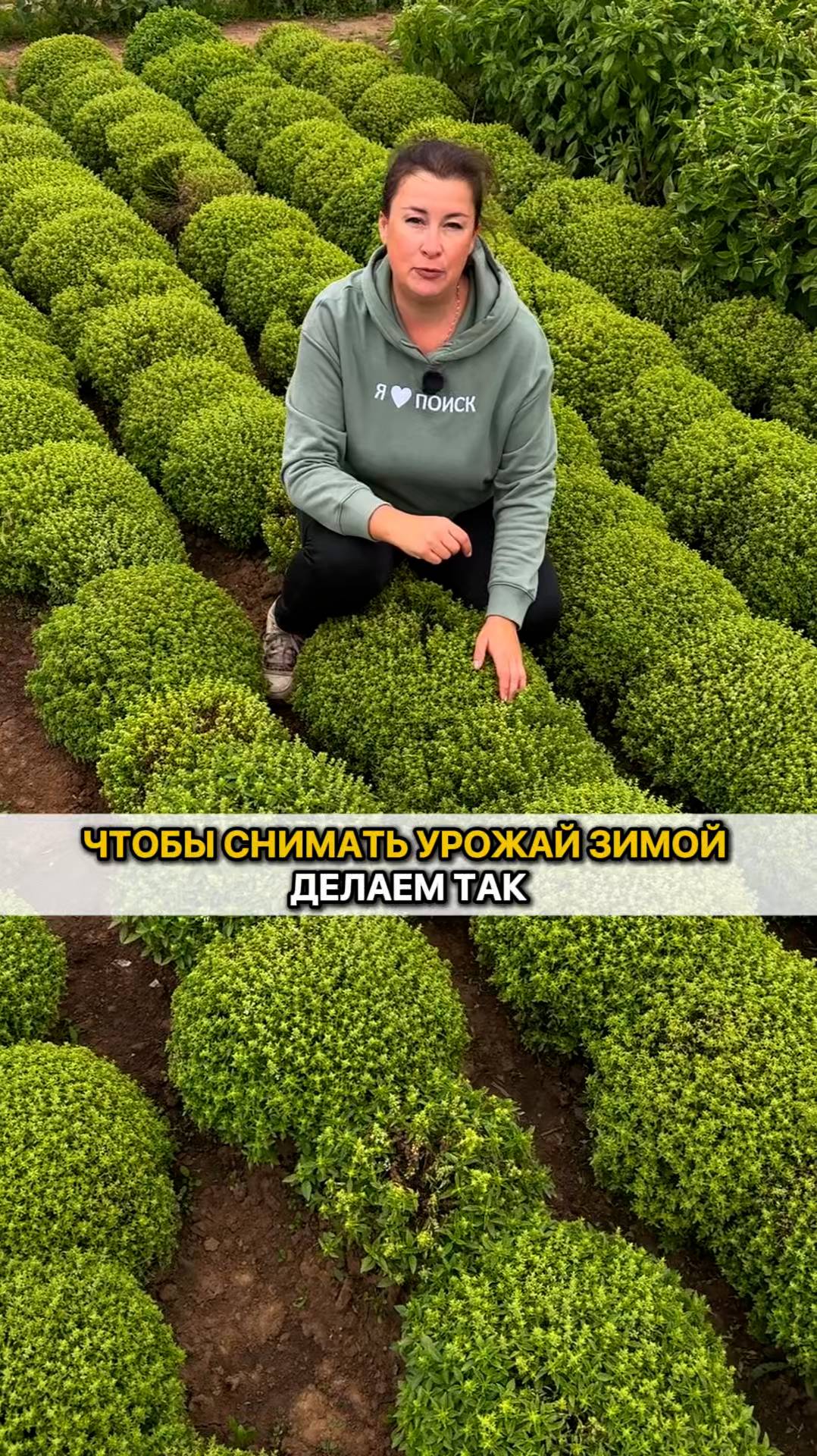 Делаем ТАК, чтобы снимать урожай зимой!