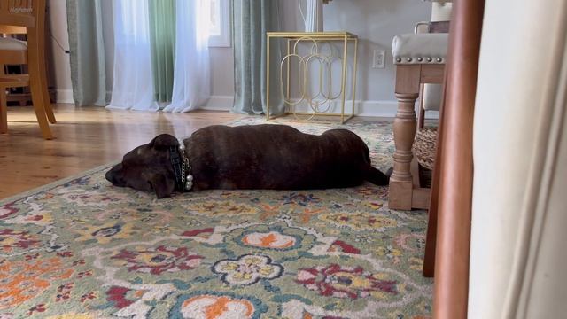 Lousin's 19th Birthday  ASMR Эгине