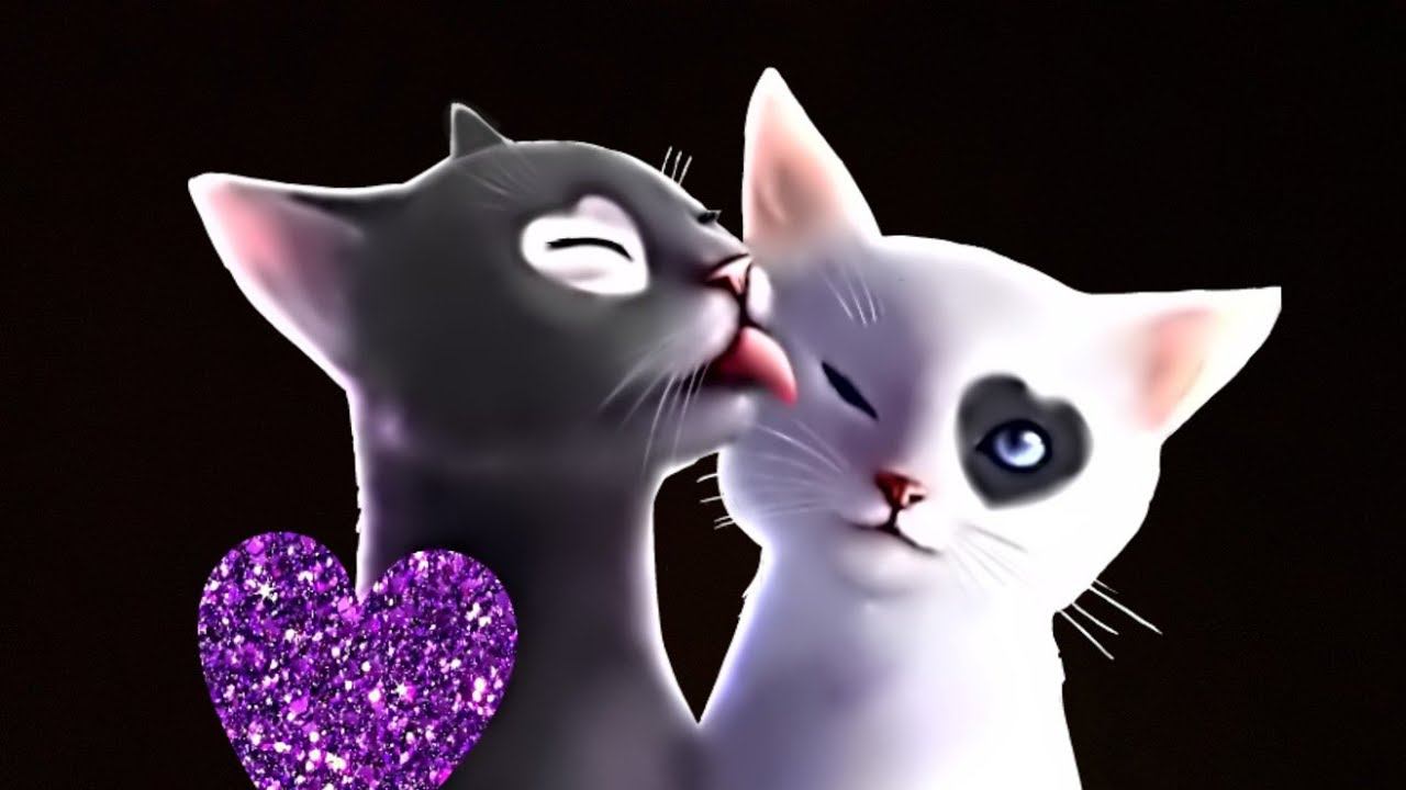 Бенгалы и их игры