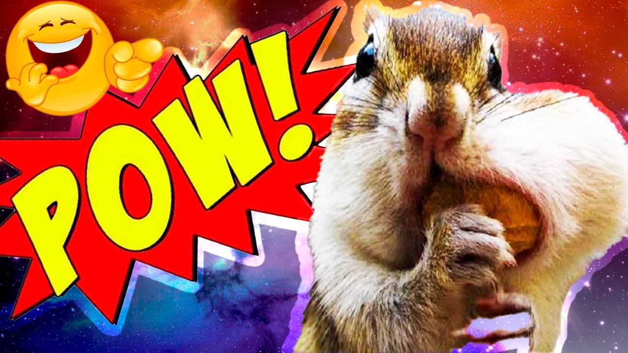 ЛУЧШИЕ ПРИКОЛЫ СЕНТЯБРЬ 2025 | ПОПРОБУЙ НЕ ЗАСМЕЯТЬСЯ | ТЕСТ НА ПСИХИКУ | РЖАКА ДО СЛЕЗ