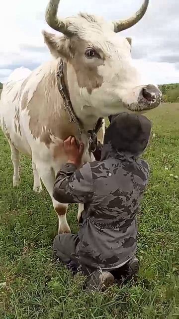 Дхарма, 07.09.25