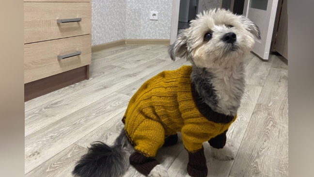 11-09-2025 Сп Свитерок +Джемперок  Комбинезон для Маечки готов