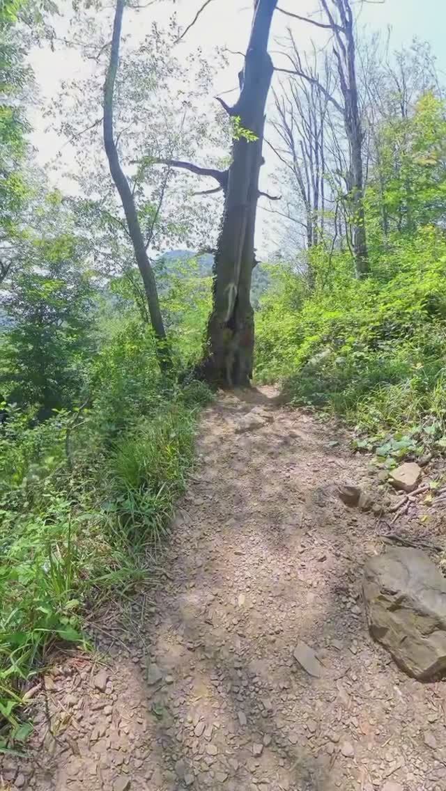 Заметки бывалого. Наверняка там мёд