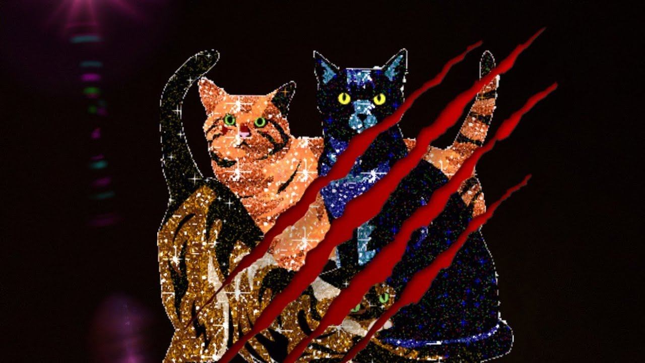 Кошки драка