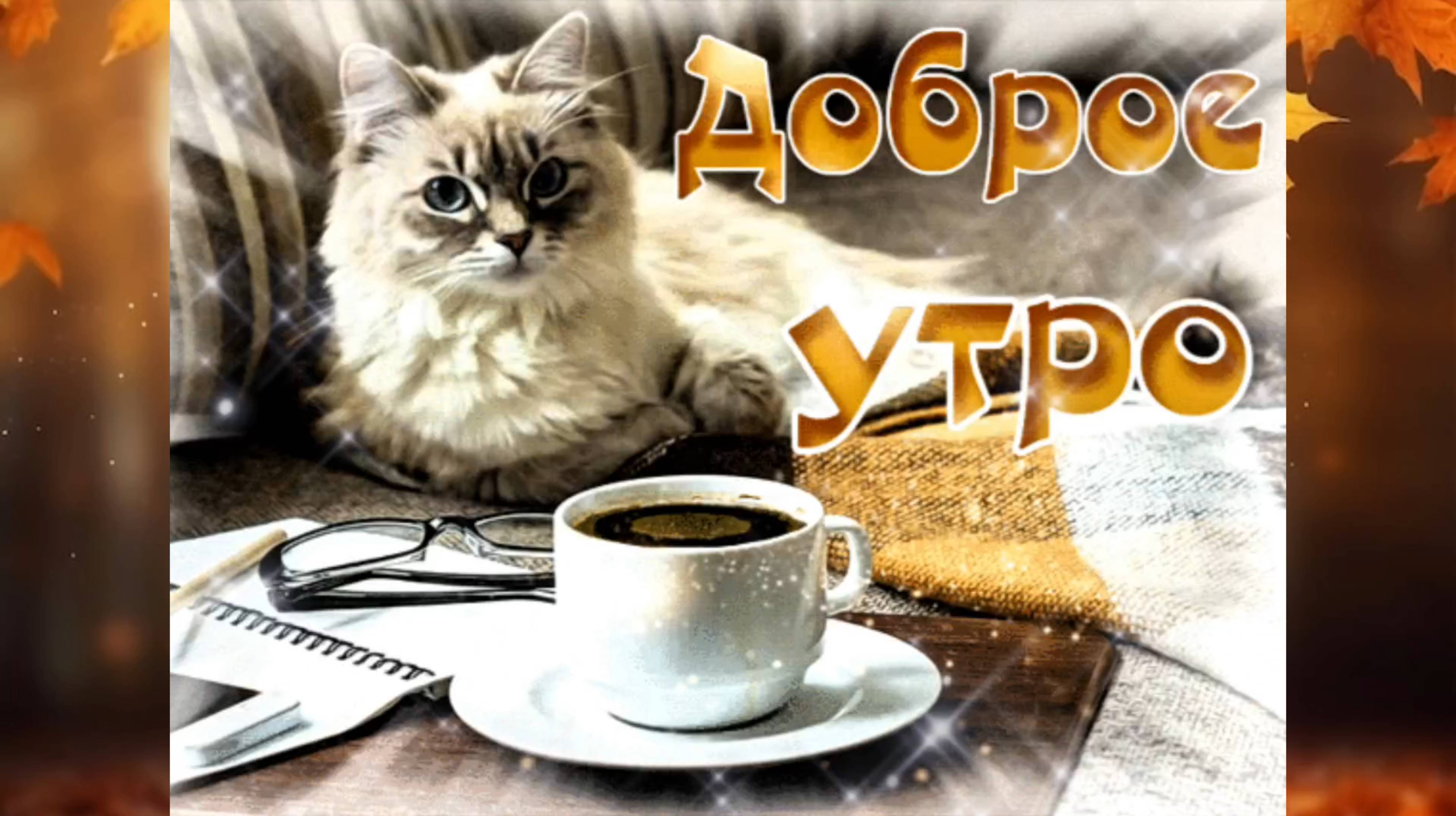 С ДОБРЫМ УТРОМ ! Красивая песня ДОБРОЕ УТРО!