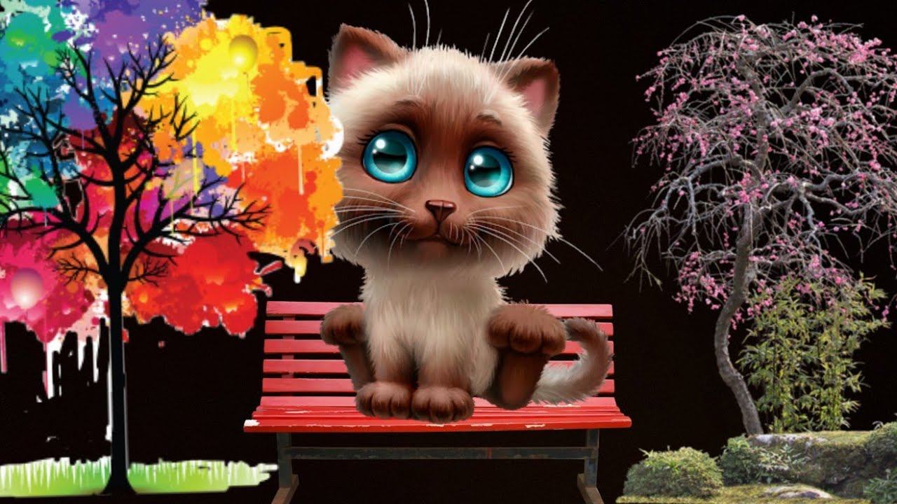 котёнок приключение