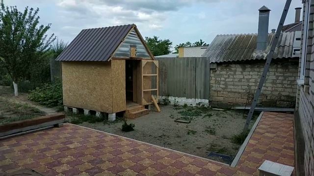 Бакинские голуби молодежь: Начинаю приучать голубят ко двору!