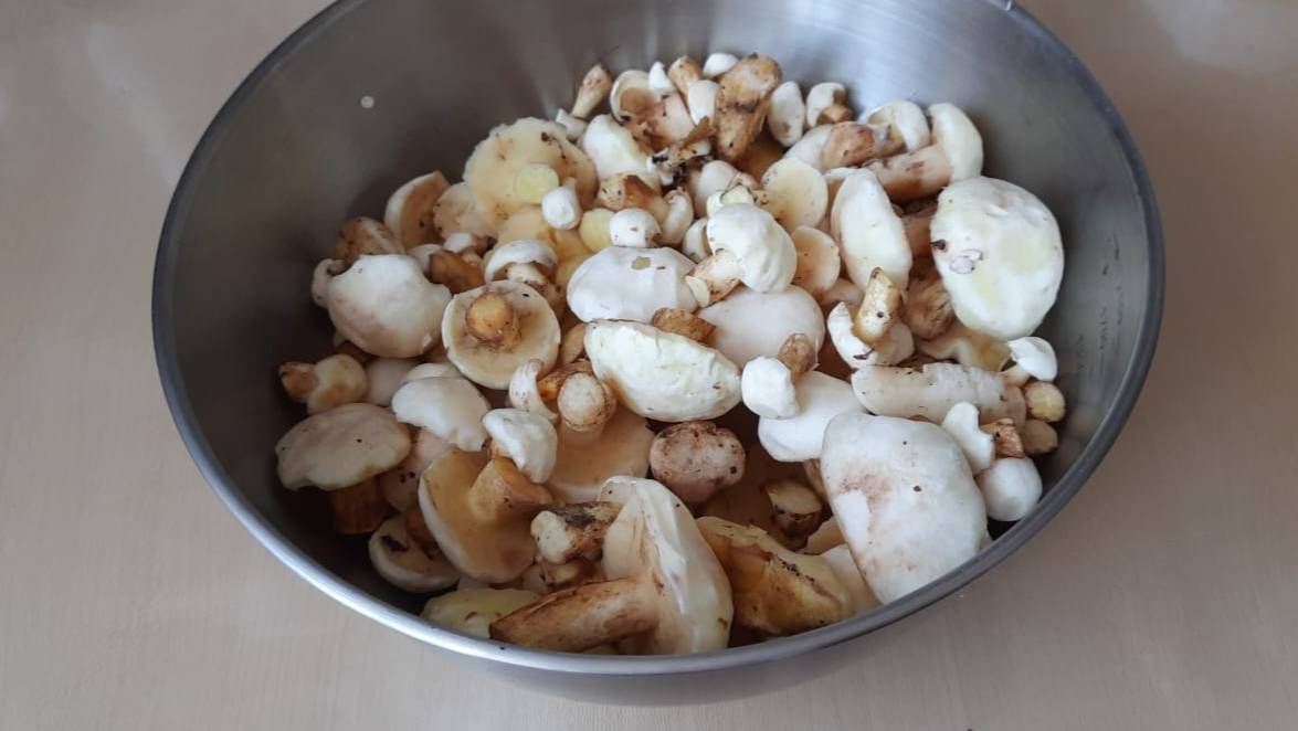 Жареные грибы для хранения на зиму