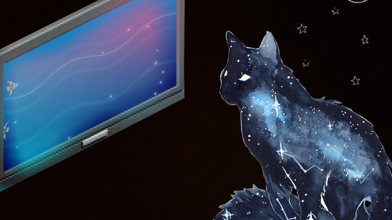 Кот смотрит телевизор