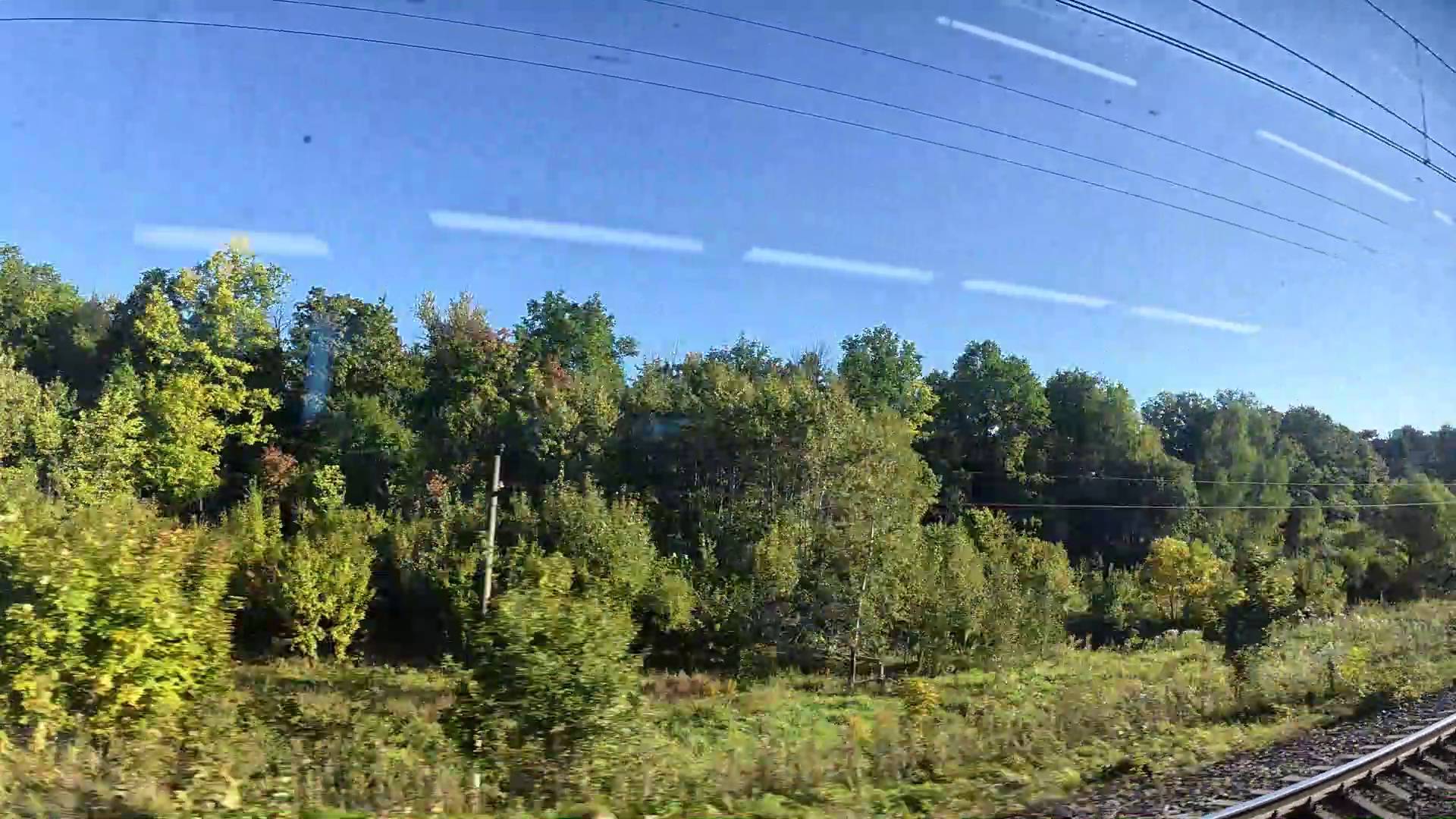 Ласточка. Вид из окна. Визуальная медитация без слов. ч1