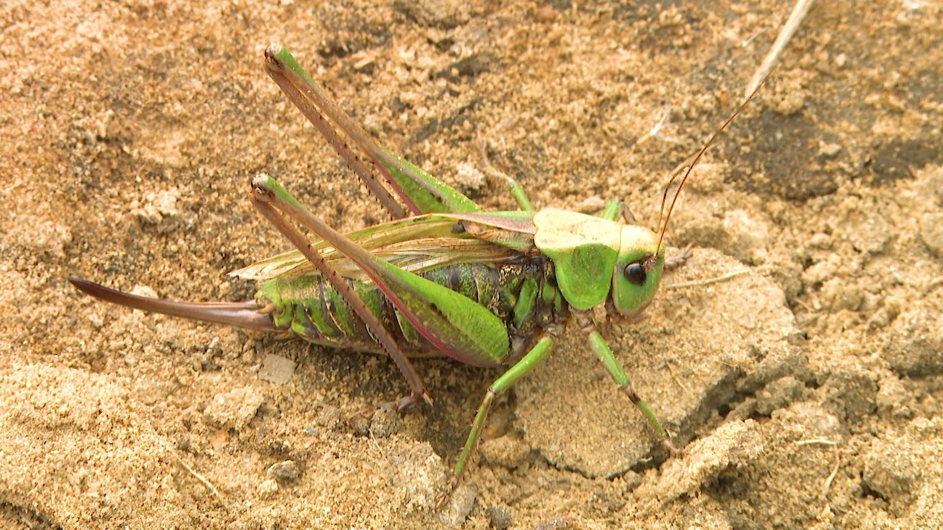 Дикие выходные с Павлом Глазковым. 13 сентября