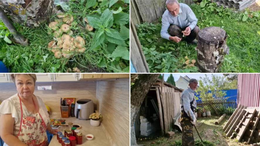 НАРОСЛИ ОПЯТА ПОД ЗАБОРОМ. ВАРЮ ВАРЕНЬЕ ИЗ ОСТРОГО ПЕРЦА.