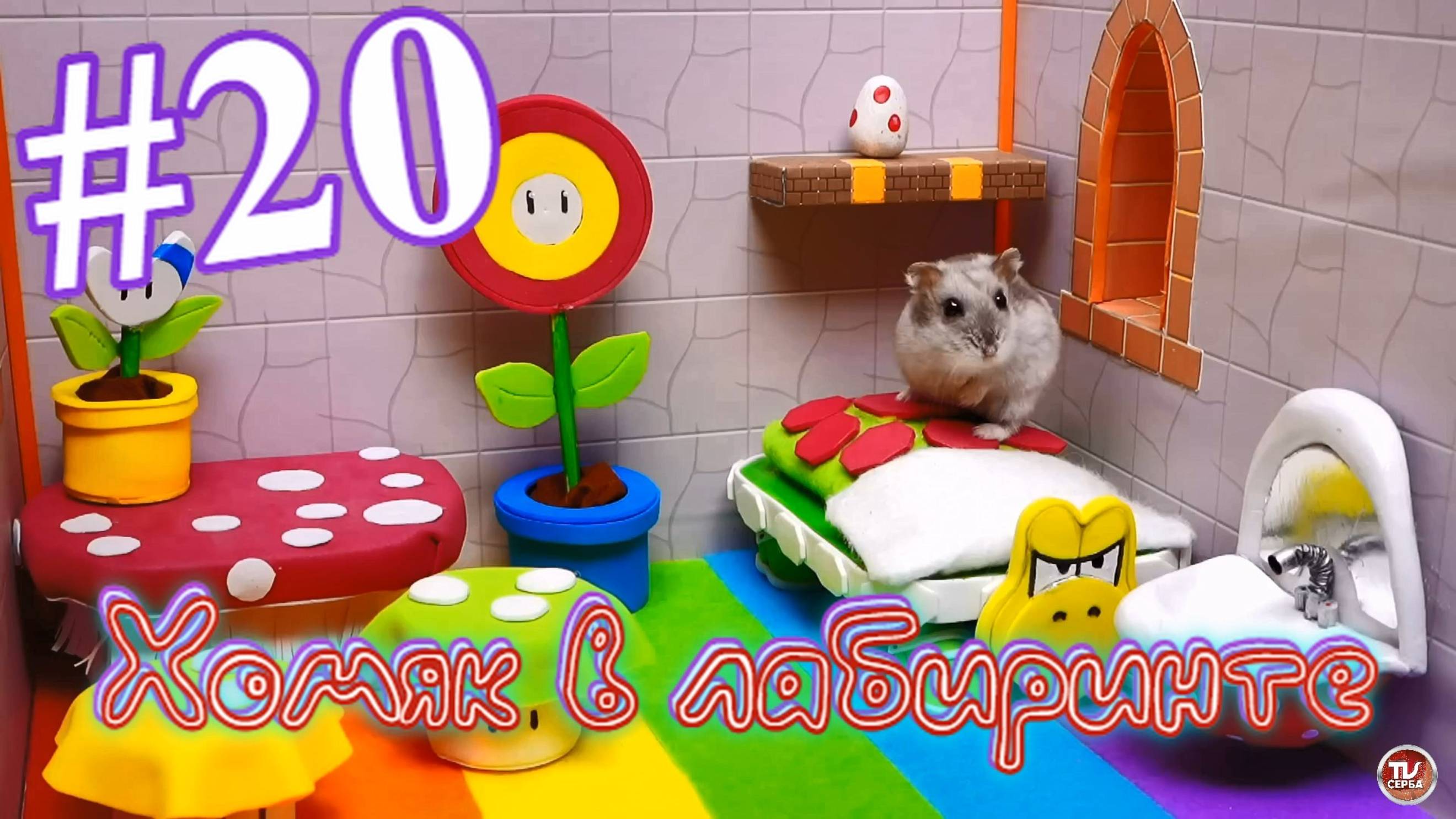 Хомяк в лабиринте (20 серия)