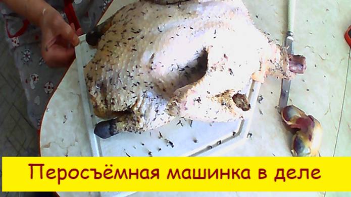 Перосъёмная машина в деле .