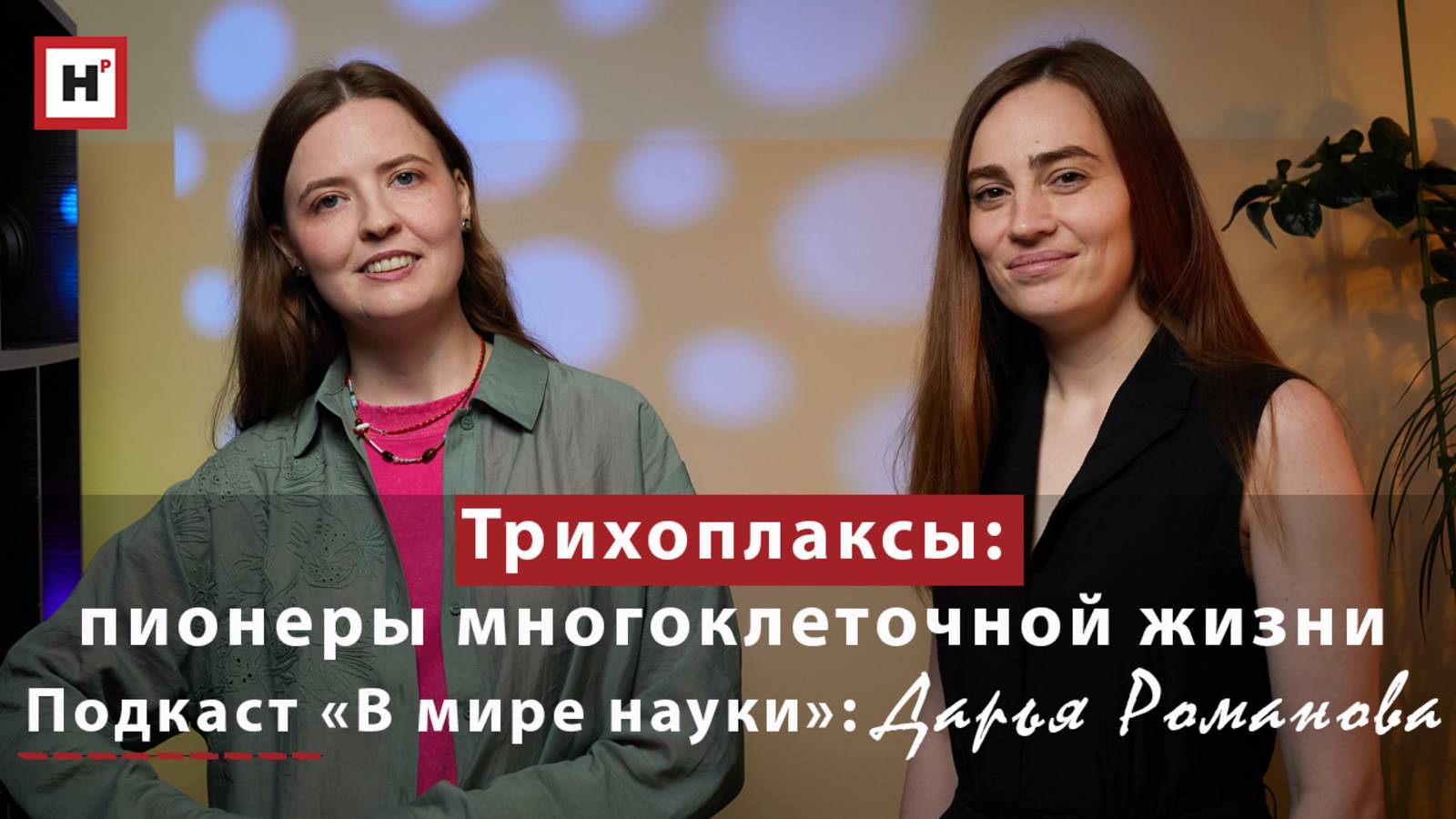 Трихоплаксы: пионеры многоклеточной жизни. Подкаст «В мире науки»: Дарья Романова