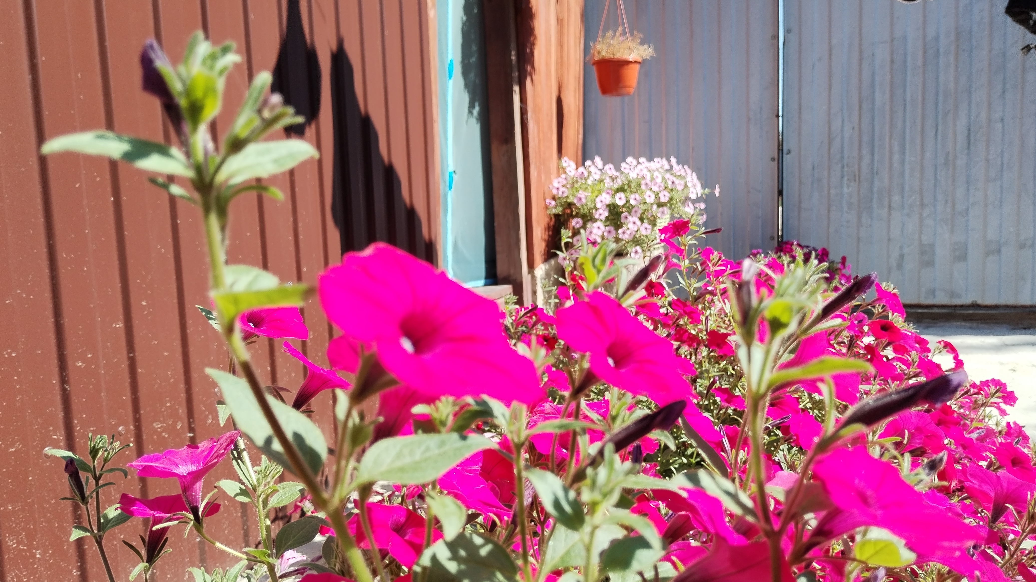 Влог 8-12.09.25 Дом в котором я выросла.