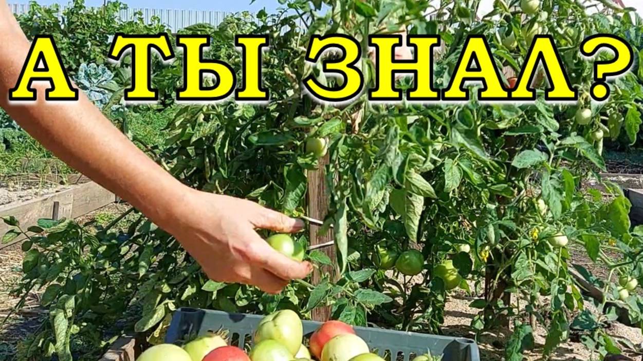 ВНИМАНИЕ! ЭТО нужно сделать сейчас, в СЕНТЯБРЕ☝☝☝