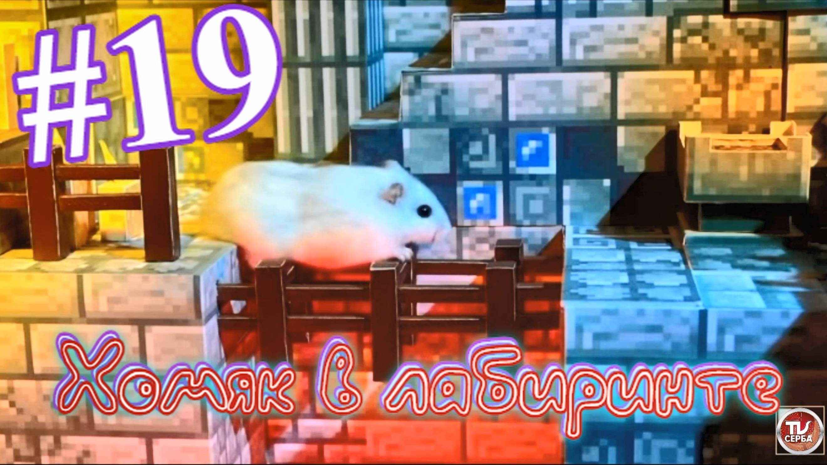 Хомяк в лабиринте (19 серия)