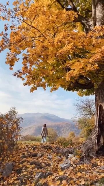 #солнечныйсентябрь