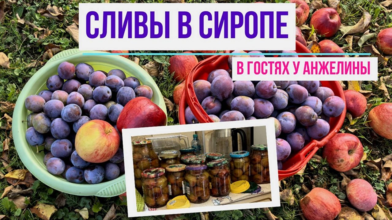 Закатываю сливы в сиропе. В гостях у Анжелины на кухне. Незатейливая кулинария Джоли