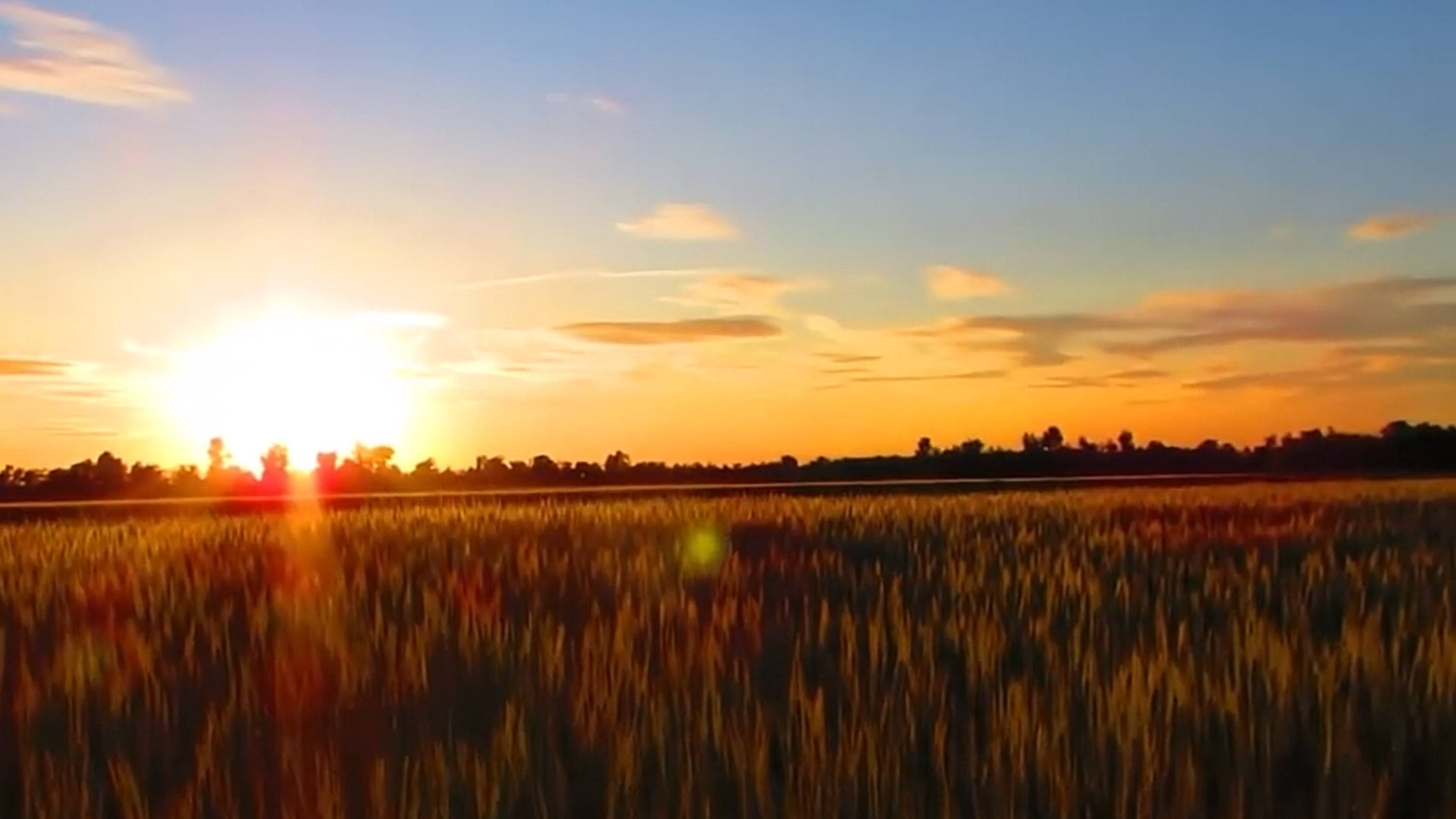 Вадим Гурьев Зачем тебя повстречал Vadim Guryev I wish I did not meet you