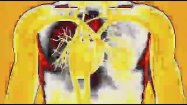 Матрица Гаряева. Сердце, вены, сосуды