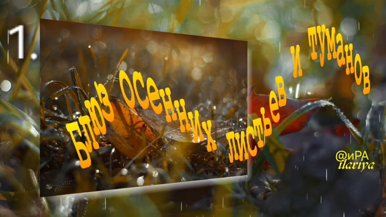 Осенний блюз | Музыкальная терапия цветом | Фотохудожник Илдико Нир ( Ildiko Neer)_часть 1