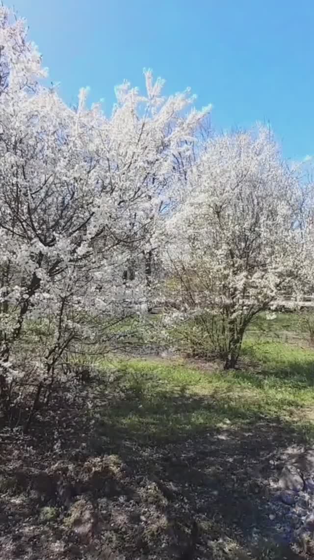 В Геническе началась реконструкция сквера "Воинской славы",Херсонская область 🇷🇺