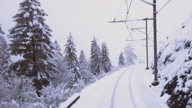 🚄 4К SmartTV ➤ На ледниковом экспрессе, из Санкт-Мориц в Кур, в сильный снегопад, Швейцария!