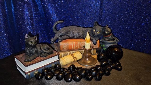 ОТ ВСЯКИХ ПРОВЕРОК