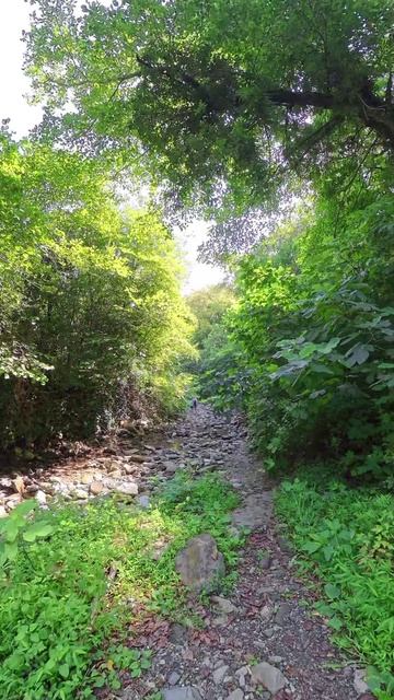 Свирское ущелье.Лазаревское. Сочи. Ч2