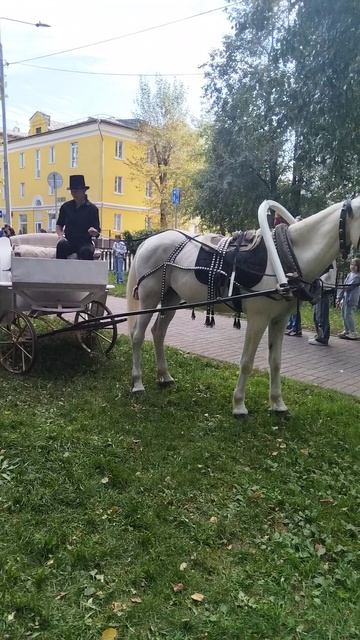 Петровская Москва в Измайлове бал, ремёсла и квесты одной субботы (10)