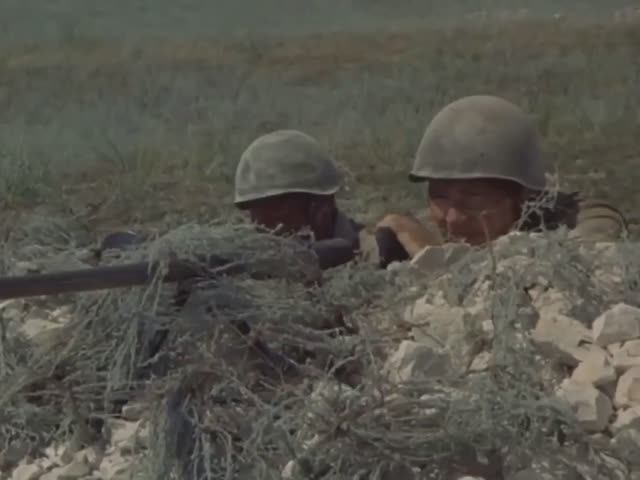 ЛЮБЭ - Луговая трава